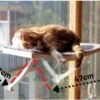 Hobipets - Kattenmand Raam - 5 Zuignappen - Hangmat Kat Raam 2 Hobipets - Kattenmand Raam - 5 Zuignappen - Hangmat Kat Raam -Kattenbenodigdheden 1200x856 2