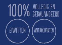 Felix Elke Dag Feest Vis Selectie In Gelei 7+ Jaar 12 X 85 Gr -Kattenbenodigdheden 1200x865