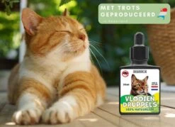 Natuurlijke Vlooiendruppels Voor Katten - Vanaf 4 Kg - 100% Natuurlijk - Vlooien - Zonder Giftige Pesticiden - 30 Ml - Speciale Formule Voor Katten - Vachtdruppels - Made In Holland 12 Natuurlijke Vlooiendruppels Voor Katten - Vanaf 4 Kg - 100% Natuurlijk - Vlooien - Zonder Giftige Pesticiden - 30 Ml - Speciale Formule Voor Katten - Vachtdruppels - Made In Holland -Kattenbenodigdheden 1200x872 2