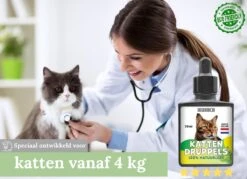 Natuurlijke Vlooiendruppels Voor Katten - Vanaf 4 Kg - 100% Natuurlijk - Vlooien - Zonder Giftige Pesticiden - 30 Ml - Speciale Formule Voor Katten - Vachtdruppels - Made In Holland 9 Natuurlijke Vlooiendruppels Voor Katten - Vanaf 4 Kg - 100% Natuurlijk - Vlooien - Zonder Giftige Pesticiden - 30 Ml - Speciale Formule Voor Katten - Vachtdruppels - Made In Holland -Kattenbenodigdheden 1200x872