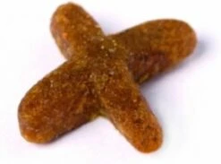 Prins VitalCare Indoor 5 Kg - Kat 18 Prins VitalCare Indoor 5 Kg - Kat -Kattenbenodigdheden 1200x891 1