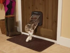 PetSafe Staywell Microchip Kattenluik - Bruin -Kattenbenodigdheden 1200x900 10