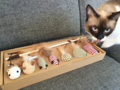 Make Life Beautiful® - Kattenspeeltjes Set - 7-delig - Kattenspeelgoed - Kattenhengel - Speelmuisjes - Kattenspeelgoed Set -Kattenbenodigdheden 1200x900 15