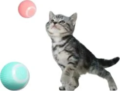 Merkloos EYSS Slimme Bal / Huisdier Speelgoedbal / Kattenspeeltje / Zelfrollende Kattenbal / Smart Rollende Bal / Oplaadbare Speeltje Voor Poesjes /Katten -Kattenbenodigdheden 1200x915 1