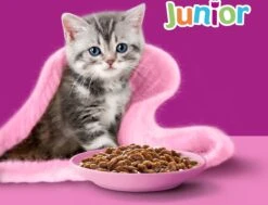 Whiskas Junior Natvoer - Classic - Selectie In Saus - Maaltijdzakjes 48 X 85 G -Kattenbenodigdheden 1200x918