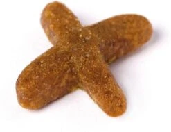 Prins VitalCare Indoor 5 Kg - Kat 28 Prins VitalCare Indoor 5 Kg - Kat -Kattenbenodigdheden 1200x922