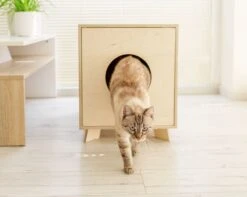 Catandwood Kattenhuis - Kattenbakcontainer - Kattenbak Ombouw - Hout -Kattenbenodigdheden 1200x959 4