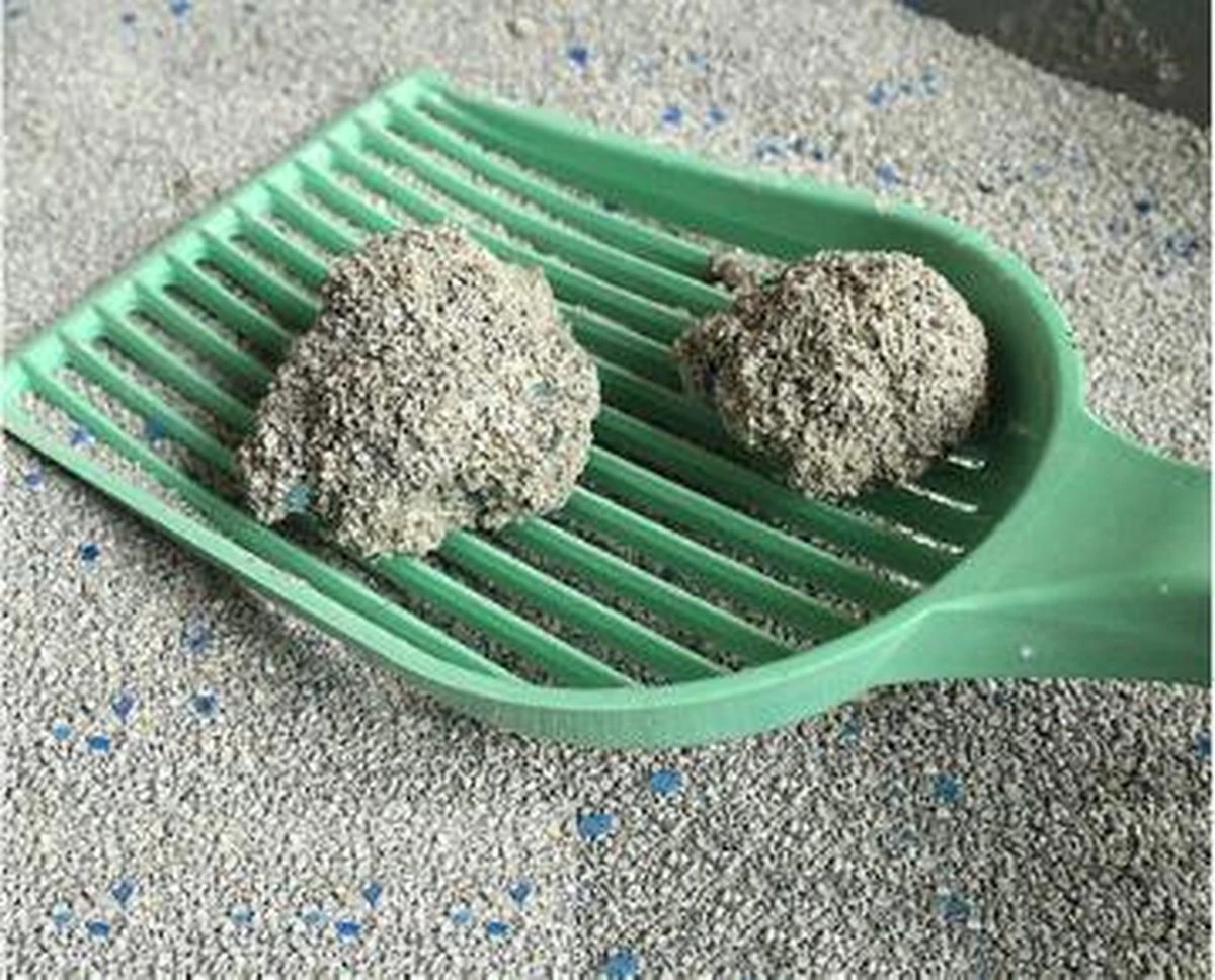 Merkloos Pet-Earth Golden Grey Master - Kattenbakvulling - Perfecte Klontvorming - 2 X 14 Kg 4 Merkloos Pet-Earth Golden Grey Master - Kattenbakvulling - Perfecte Klontvorming - 2 X 14 Kg - Afbeelding 3