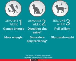 Purina One Sensitive - Kalkoen/Rijst - Kattenvoer - 800 G -Kattenbenodigdheden 1200x970 1