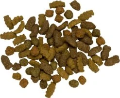 Pets Place Kat Adult - Kattenvoer - Zalm - 4 Kg -Kattenbenodigdheden 1200x985