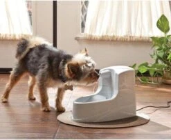 Petsafe Drinkwell Platinum - Drinkfontein - 5 L 32 Petsafe Drinkwell Platinum - Drinkfontein - 5 L -Kattenbenodigdheden 1200x986