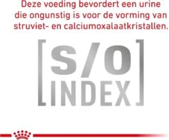 Royal Canin Anallergenic Kattenvoer 4 Kg -Kattenbenodigdheden 1200x990 1