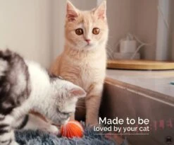 Cheerble Mini Ball 2.0 - Slimme Interactieve Zelf Rollende Bal Voor Katten - 3 Speelmodi - Kattenspeeltjes - USB Oplaadbaar - Rood 18 Cheerble Mini Ball 2.0 - Slimme Interactieve Zelf Rollende Bal Voor Katten - 3 Speelmodi - Kattenspeeltjes - USB Oplaadbaar - Rood -Kattenbenodigdheden 1200x994