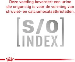 Royal Canin Veterinary Diet Cat Anallergenic - Kattenvoer - 4 Kg 10 Royal Canin Veterinary Diet Cat Anallergenic - Kattenvoer - 4 Kg -Kattenbenodigdheden 1200x998