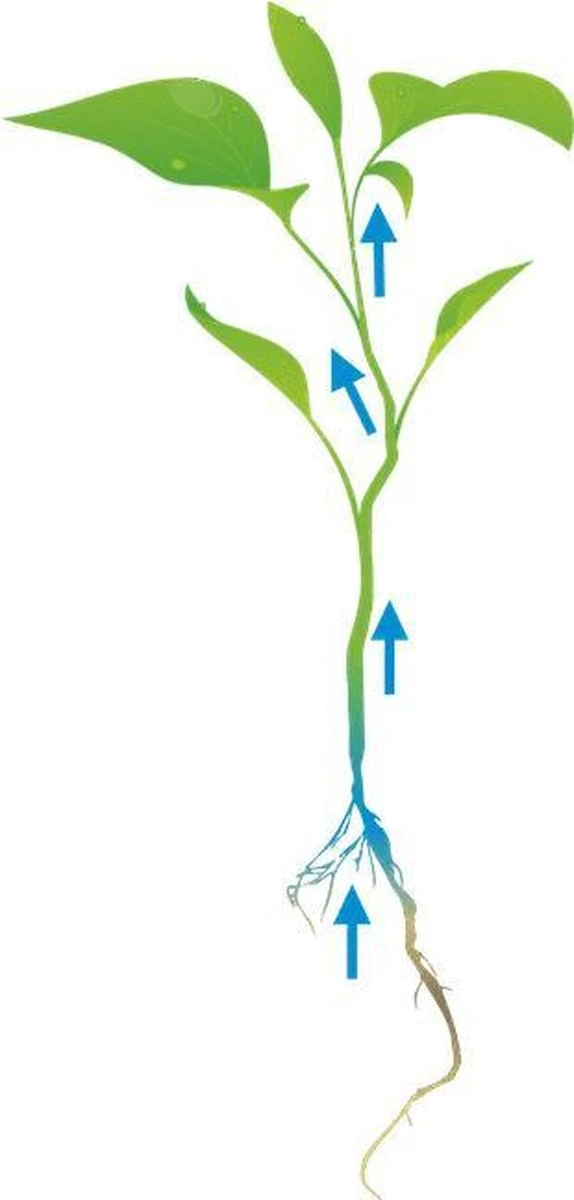 Cat's Best Original - Kattenbakvulling - 20 L 6 Cat's Best Original - Kattenbakvulling - 20 L - Afbeelding 4