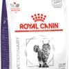 Royal Canin Dental Kat 6 Kg (2 X 3kg)