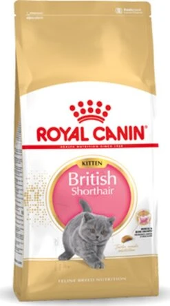 Royal Canin British Shorthair Kitten - 2 Kg 27 Royal Canin British Shorthair Kitten - 2 Kg -Kattenbenodigdheden 668x1200 5