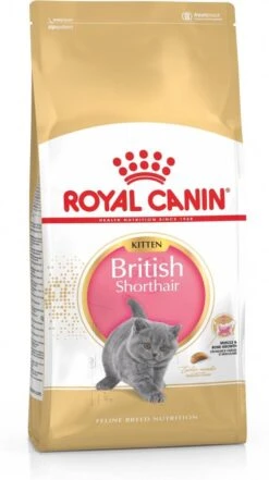 Royal Canin British Shorthair Kitten - 2 Kg 24 Royal Canin British Shorthair Kitten - 2 Kg -Kattenbenodigdheden 672x1200