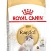 Royal Canin Ragdoll Adult - Kattenvoer - 2 Kg -Kattenbenodigdheden 690x1200