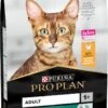 Pro Plan Adult Renal Plus - Katten Droogvoer - Kip - 10 Kg -Kattenbenodigdheden 725x1200
