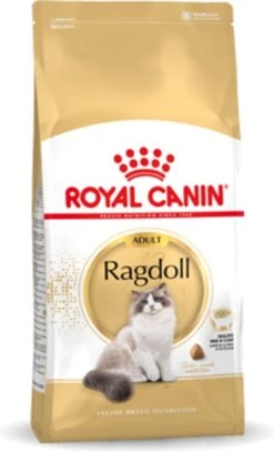 Royal Canin Ragdoll Adult - Kattenvoer - 2 Kg -Kattenbenodigdheden 729x1200 2