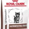 Royal Canin Gastrointestinal Kitten - 2 Kg -Kattenbenodigdheden 730x1200 3