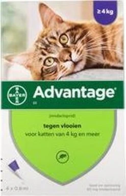 Advantage 80 Vlooiendruppelsl Kat Vanaf 4 Kg - 4 Pipetten -Kattenbenodigdheden 773x1200