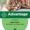 Bayer Anti Vlooienmiddel Advantage 80 > 4 Kg - 4 X 0,8 Ml -Kattenbenodigdheden 788x1200
