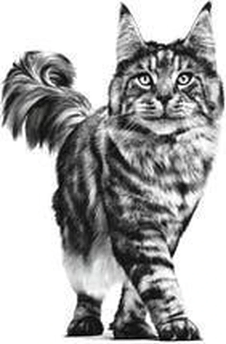 Royal Canin Sensitivity Control - Kip - Kattenvoer - 12 X 85 G 8 Royal Canin Sensitivity Control - Kip - Kattenvoer - 12 X 85 G - Afbeelding 6