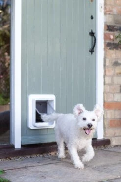 SureFlap Microchip Dualscan - Kattenluik - M - 14 X 12 Cm -Kattenbenodigdheden 800x1200 15