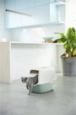 Rotho Bailey - Kattenbak - Groen/Zand -Kattenbenodigdheden 800x1200 6