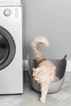 LitterLocker LitterBox - Grijs 11 LitterLocker LitterBox - Grijs -Kattenbenodigdheden 800x1200 7