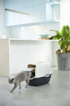 Rotho Bailey - Kattenbak - Zwart/Zand -Kattenbenodigdheden 801x1200 1