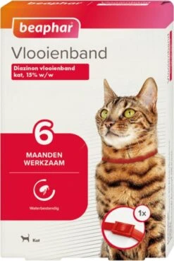 Beaphar Vlooienband Kat - Rood - 1 Stuk -Kattenbenodigdheden 804x1200 1