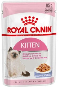 Royal Canin Kitten In Jelly - Kattenvoer - 1020 G -Kattenbenodigdheden 805x1200 1