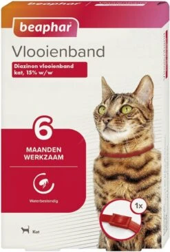 Beaphar Vlooienband Kat - Rood - 1 Stuk -Kattenbenodigdheden 807x1200 1