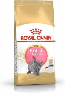 Royal Canin British Shorthair Kitten - 2 Kg 26 Royal Canin British Shorthair Kitten - 2 Kg -Kattenbenodigdheden 809x1200 3