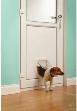 Petsafe Kattenluik - Grote Kat - Transparant -Kattenbenodigdheden 832x1200 3