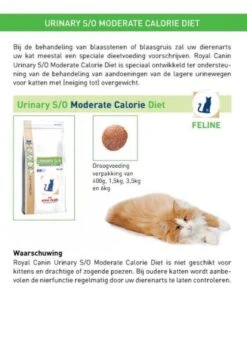 Royal Canin Urinary S/O Moderate Calorie - Kattenvoer - 9 Kg -Kattenbenodigdheden 852x1200 1