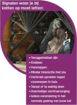 Feliway Classic - Startset - 1 Verdamper + 1 Vulling 48ml - Anti-stress Voor Kat -Kattenbenodigdheden 881x1200 1