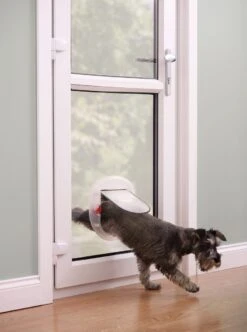 Petsafe Kattenluik - Grote Kat - Transparant -Kattenbenodigdheden 893x1200 4