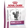 Royal Canin Renal Special - Kattenvoer - 4 Kg -Kattenbenodigdheden 897x1200