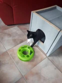 Bronneger Exclusive - Kattenhuis - XXL - Kattenbak Ombouw Kast - Kattenmand 22 Bronneger Exclusive - Kattenhuis - XXL - Kattenbak Ombouw Kast - Kattenmand -Kattenbenodigdheden 900x1200 27