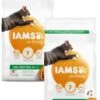 Iams Cat Adult Zalm - Kattenvoer - 2 X 3 Kg -Kattenbenodigdheden 900x1200 7