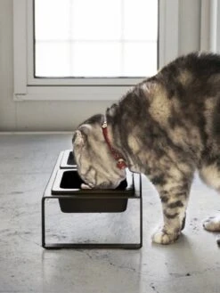 Yamazaki Eetbak - Voederbak Kat - Tweeledig - Zwart 18 Yamazaki Eetbak - Voederbak Kat - Tweeledig - Zwart -Kattenbenodigdheden 901x1200 1