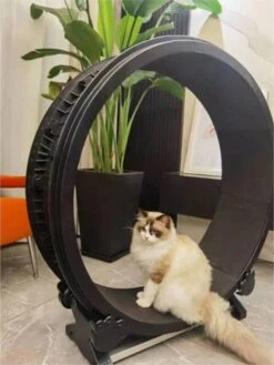 Merkloos Petlux - Looprad / Loopwiel Voor Kat - Kattenspeelgoed - -Kattenbenodigdheden 901x1200 3