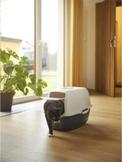 Rotho Bailey - Kattenbak - Zwart/Zand -Kattenbenodigdheden 902x1200 1