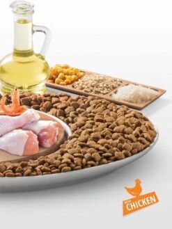 Mito Economic - Kattenvoer - 15 Kg -Kattenbenodigdheden 902x1200