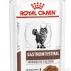 Royal Canin Gastro Intestinal Moderate Calorie Kat 12x85 Gr. 2 Royal Canin Gastro Intestinal Moderate Calorie Kat 12x85 Gr. -Kattenbenodigdheden 903x1200