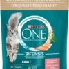 PURINA ONE Katten Droogvoer Met Zalm En Volle Granen, Adult, 900 G -Kattenbenodigdheden 960x1200